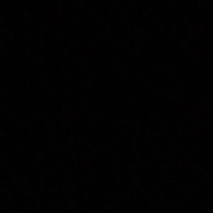 Meet your Posher, Gwendolyn